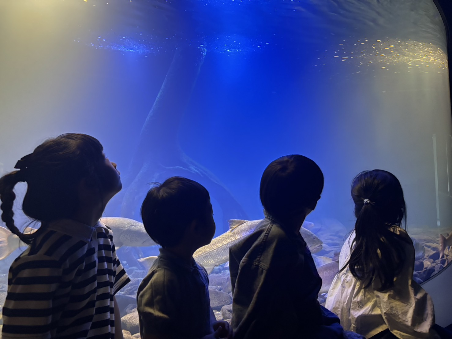 かんのＢｌｏｇ✷３