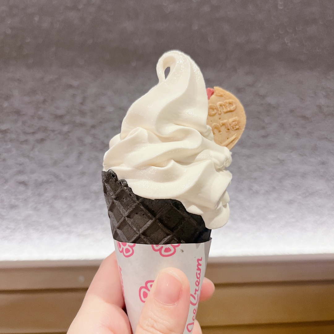 おおいそのブログ10